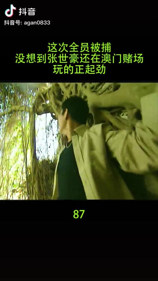 世纪大盗张世豪全集