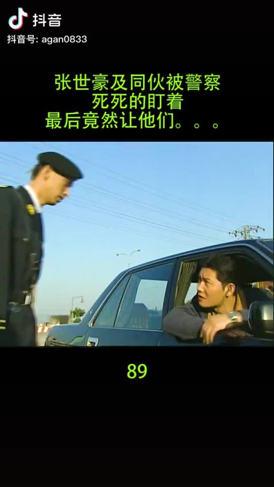 世纪大盗张世豪全集