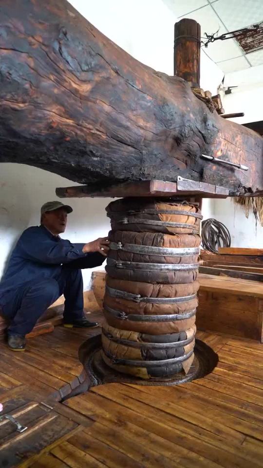 最古老的榨油方法