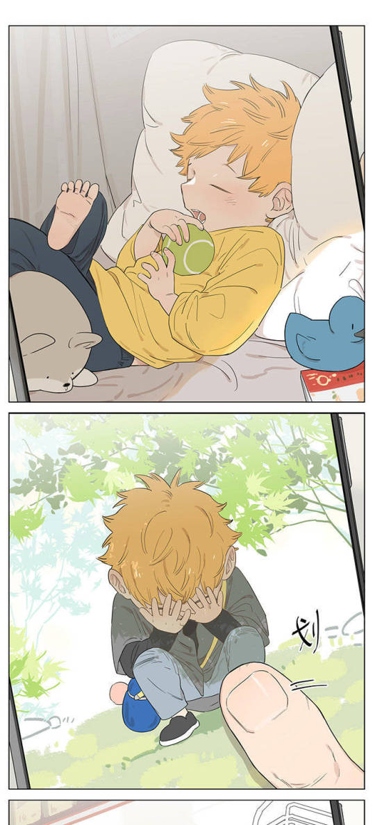 捡了东西的狼转自麻尾