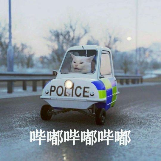 警车图片大图 表情包图片