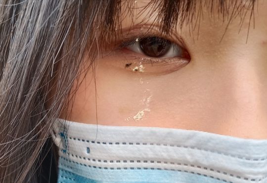 刚刚被鸟屎砸了不开心的快来开心一下