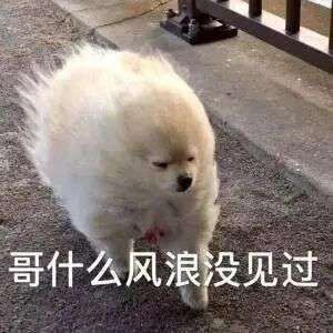 人傻了运动会跑200m被学校新媒体拍起做表情包还发抖音了老子吐了烦心