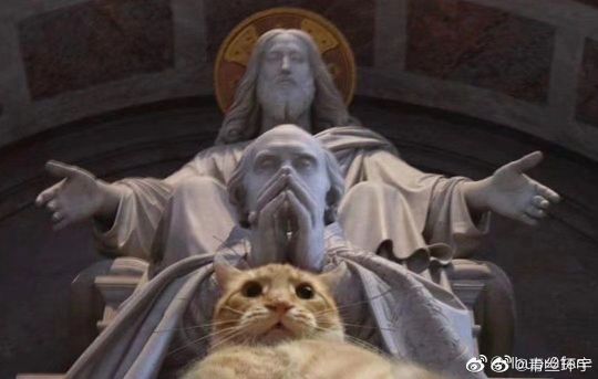 地球猫猫教