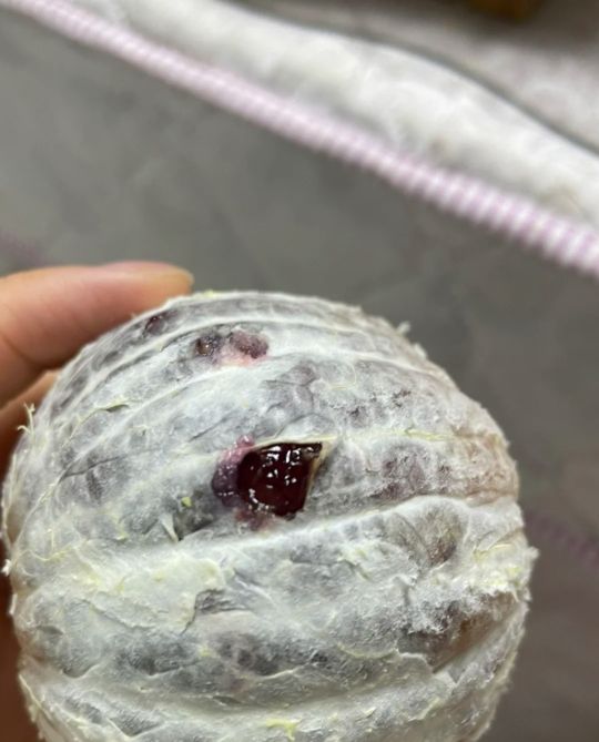 打开儿时蒲扇枕边放,不见那时摇扇人.打开邀你