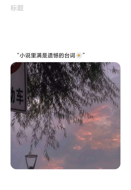 小说里满是遗憾的台词