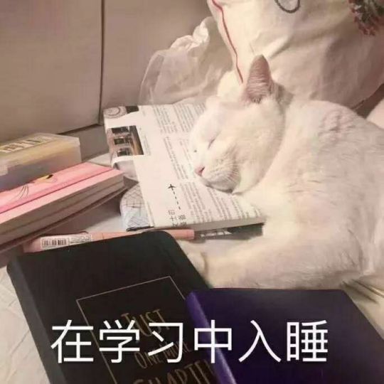 背书背不下来表情包图片