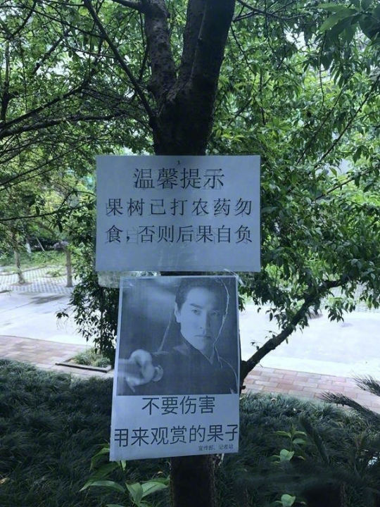 为防学生偷摘果子,学生会在校园内的果树上张贴出这样的标语,哈