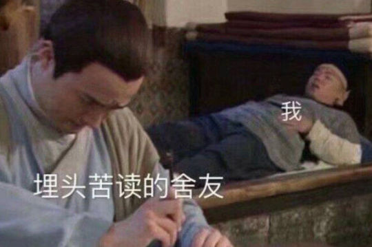 背书疯了的表情包图片