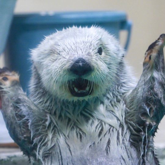 水懒你会看手相嘛你就乱摸