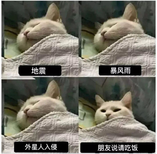 当代年轻人梗图合集:看看是谁,又在我的脑子里装监控哈哈哈哈太