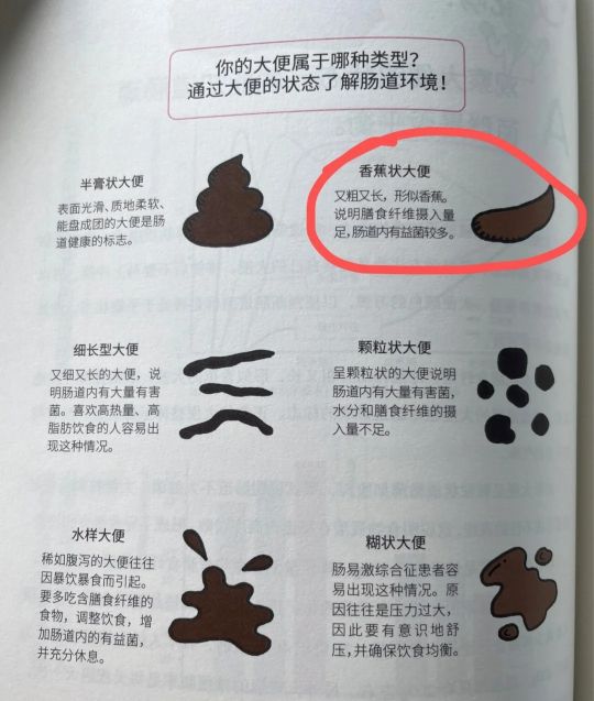 看大便形状了解身体状况你健康吗