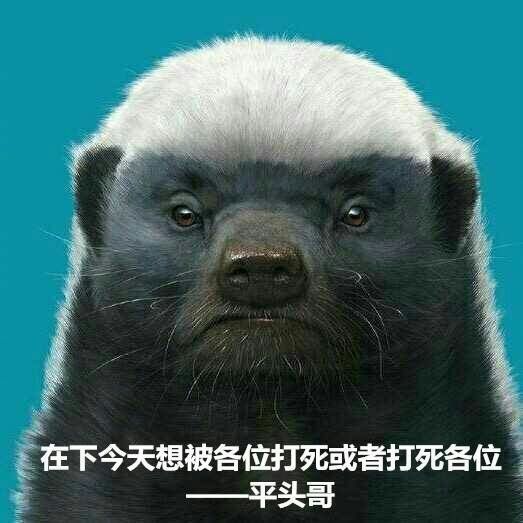 每天都在战斗状态